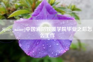 洛阳中国消防救援学院毕业之后怎么工作