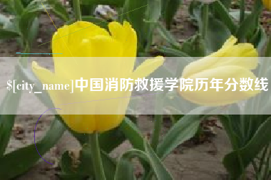 洛阳中国消防救援学院历年分数线