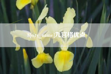 洛阳九宫格优点