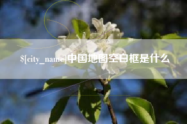 洛阳中国地图空白框是什么