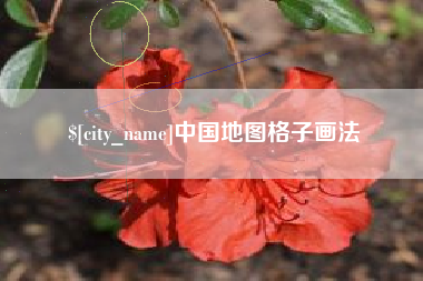 洛阳中国地图格子画法