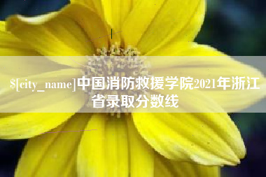 洛阳中国消防救援学院2021年浙江省录取分数线