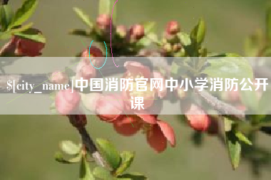 洛阳中国消防官网中小学消防公开课