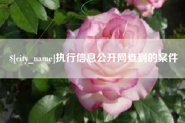 洛阳执行信息公开网查到的案件