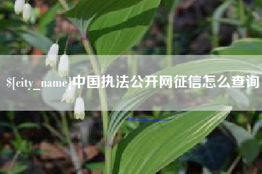 洛阳中国执法公开网征信怎么查询