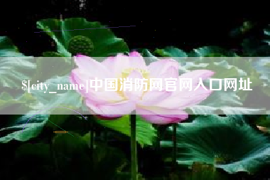 洛阳中国消防网官网入口网址