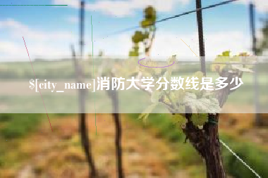 洛阳消防大学分数线是多少