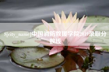 洛阳中国消防救援学院2019录取分数线