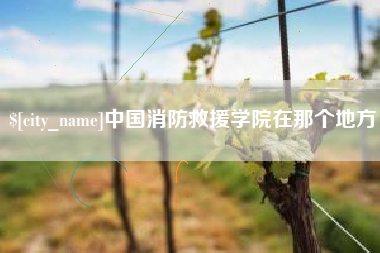 洛阳中国消防救援学院在那个地方