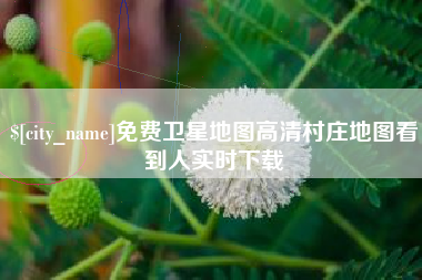洛阳免费卫星地图高清村庄地图看到人实时下载