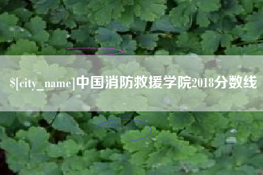 洛阳中国消防救援学院2018分数线