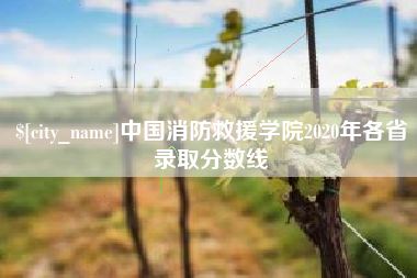 洛阳中国消防救援学院2020年各省录取分数线