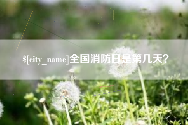 洛阳全国消防日是第几天？