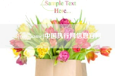 洛阳中国执行网信息官网