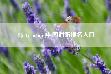 洛阳中国消防报名入口