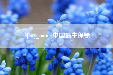 洛阳中国最牛保镖