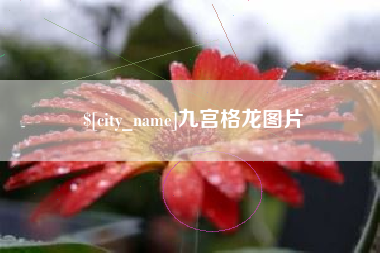 洛阳九宫格龙图片