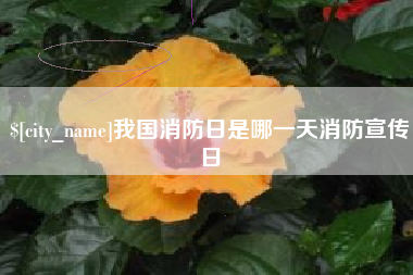 洛阳我国消防日是哪一天消防宣传日