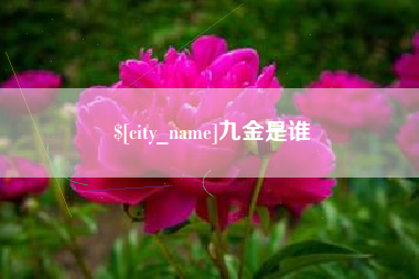 洛阳九金是谁