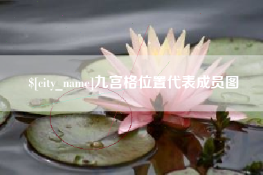 洛阳九宫格位置代表成员图