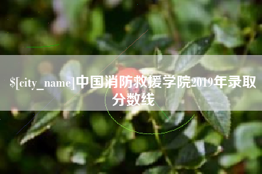 洛阳中国消防救援学院2019年录取分数线