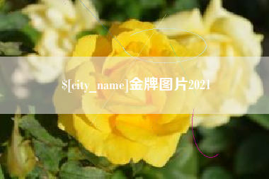 洛阳金牌图片2021