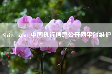 洛阳中国执行信息公开网平台维护