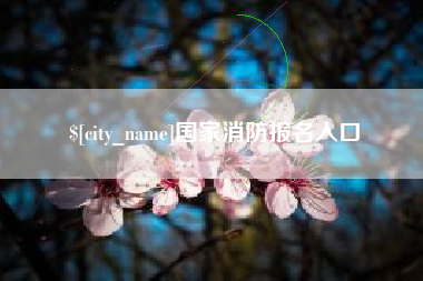 洛阳国家消防报名入口