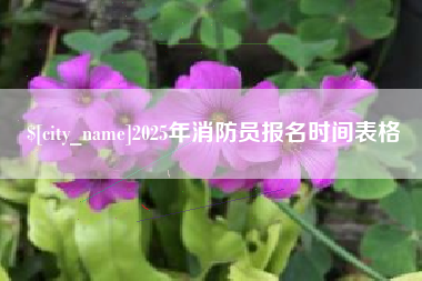 洛阳2025年消防员报名时间表格