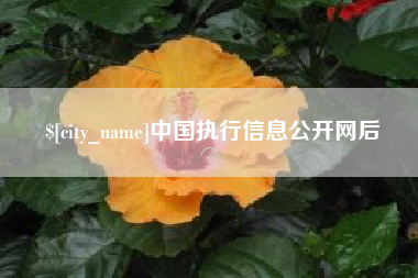 洛阳中国执行信息公开网后