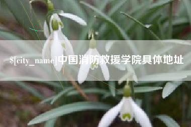 洛阳中国消防救援学院具体地址