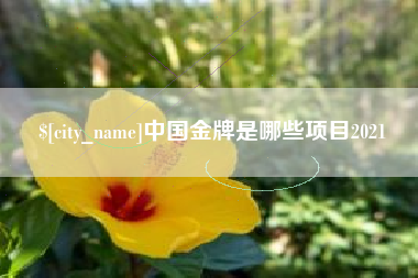 洛阳中国金牌是哪些项目2021