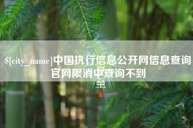 洛阳中国执行信息公开网信息查询官网限消中查询不到