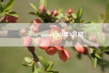 洛阳2021年9宫格