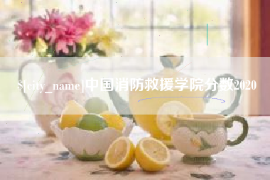洛阳中国消防救援学院分数2020