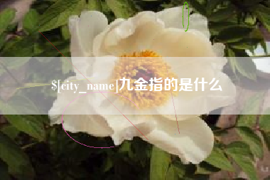洛阳九金指的是什么
