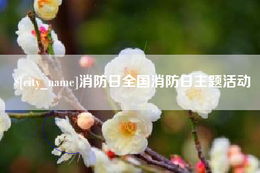 洛阳消防日全国消防日主题活动
