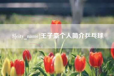 洛阳王子豪个人简介乒乓球