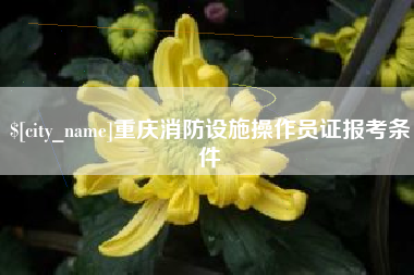 洛阳重庆消防设施操作员证报考条件