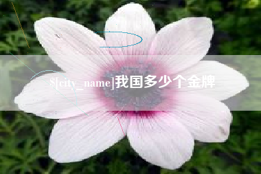 洛阳我国多少个金牌