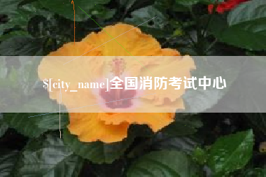 洛阳全国消防考试中心