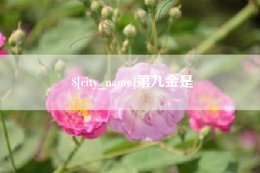 洛阳第九金是
