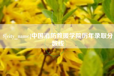 洛阳中国消防救援学院历年录取分数线