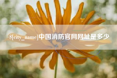 洛阳中国消防官网网址是多少