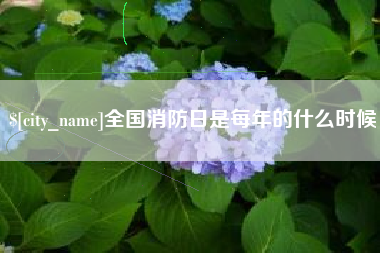 洛阳全国消防日是每年的什么时候
