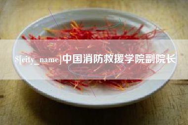 洛阳中国消防救援学院副院长