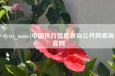 洛阳中国执行信息查询公开网查询官网