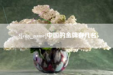 洛阳中国的金牌有几名