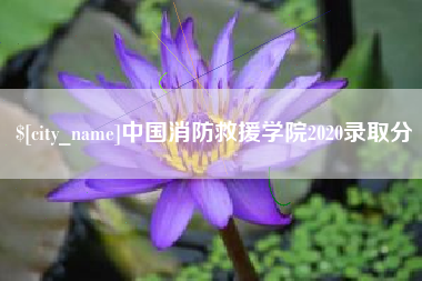 洛阳中国消防救援学院2020录取分