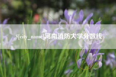 洛阳河南消防大学分数线